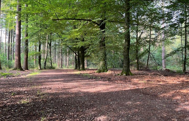 Unterkunft 322734 - Ferienhaus Veluwe - Vakantiehuis in Epe