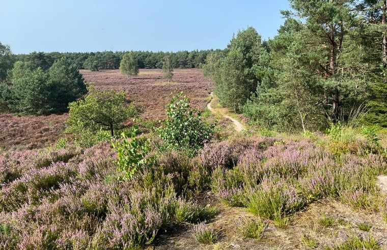 Unterkunft 322734 - Ferienhaus Veluwe - Vakantiehuis in Epe