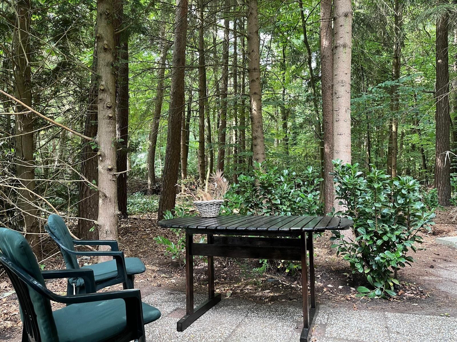 Verblijf 322739 - Vakantiewoning Veluwe - DG2161