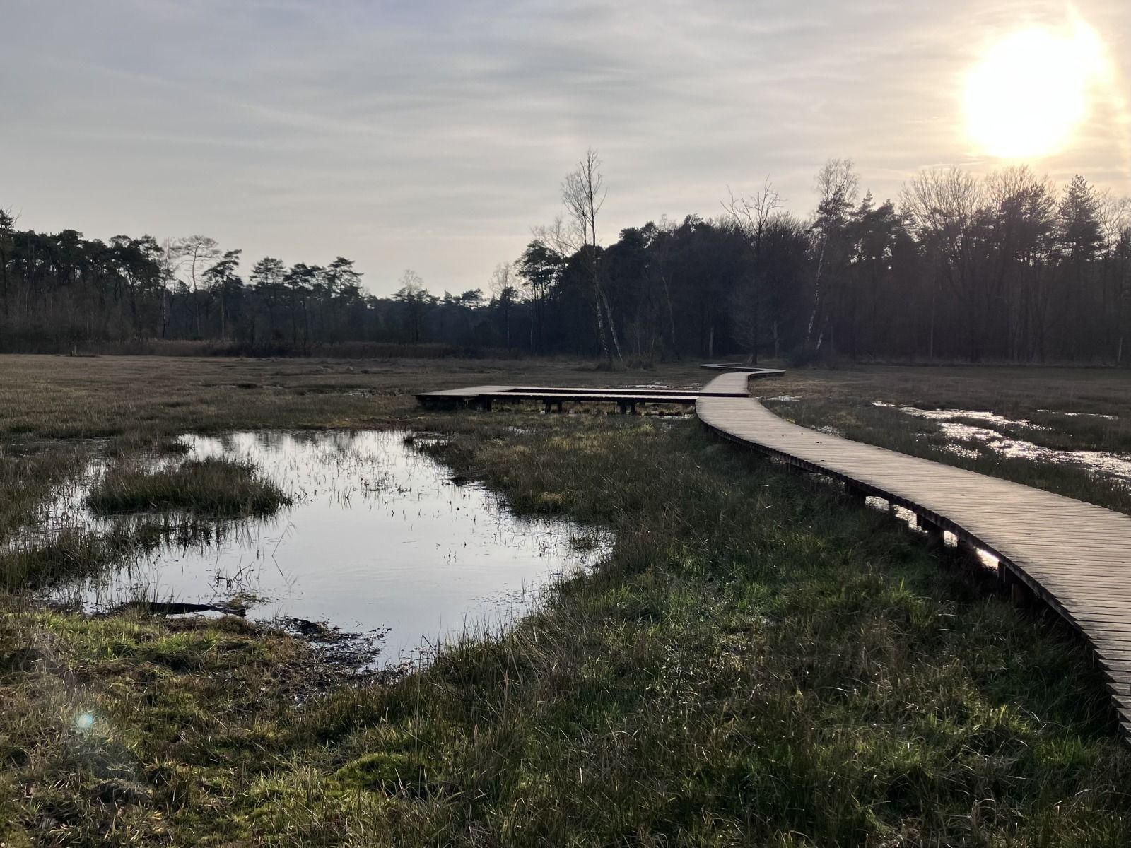 Verblijf 322739 - Vakantiewoning Veluwe - DG2161