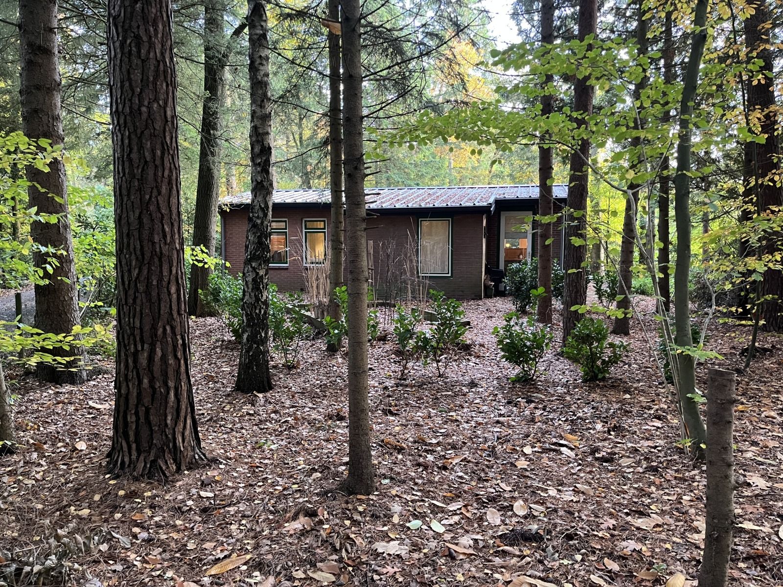 Verblijf 322739 - Vakantiewoning Veluwe - DG2161