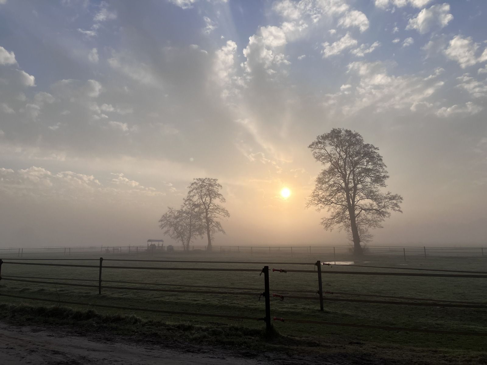 Guest house 322739 - Holiday property Veluwe - DG2161