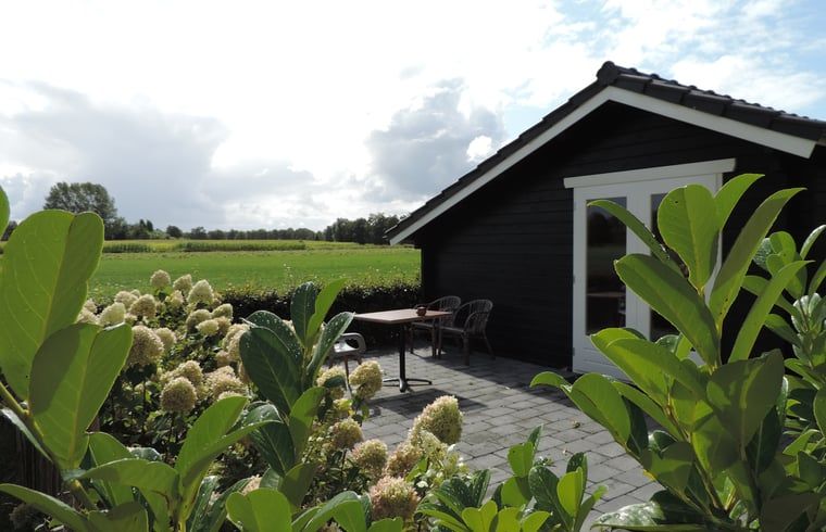 Unterkunft 322743 - Ferienhaus Veluwe - Vakantiehuis in Epe