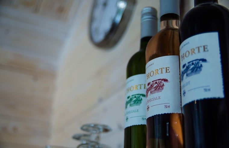 Unterkunft 322743 - Ferienhaus Veluwe - Vakantiehuis in Epe