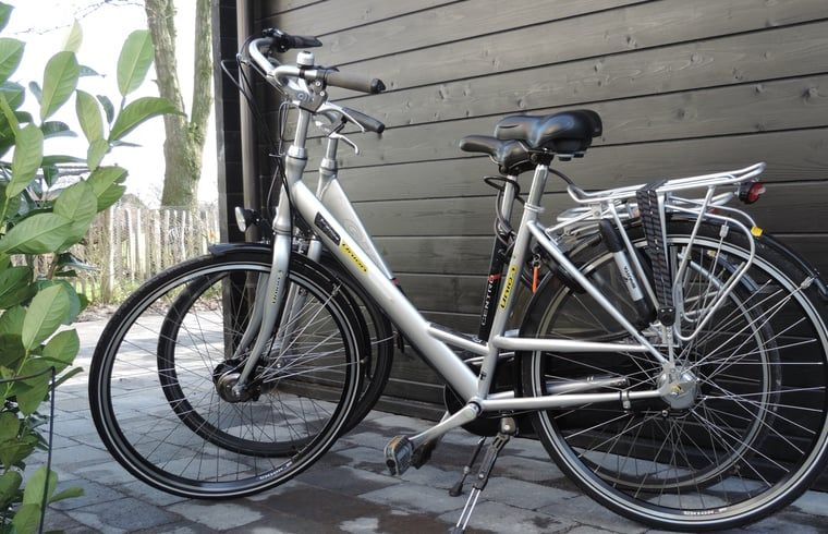 Unterkunft 322743 - Ferienhaus Veluwe - Vakantiehuis in Epe