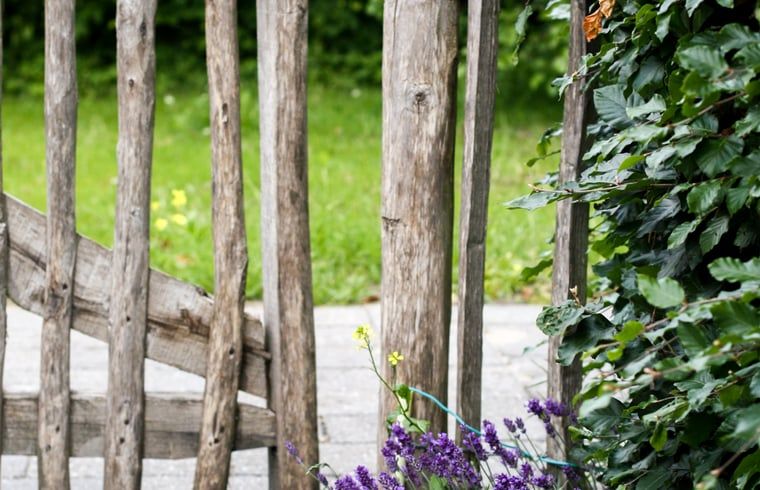 Unterkunft 322788 - Ferienhaus Veluwe - Vakantiehuis in Epe