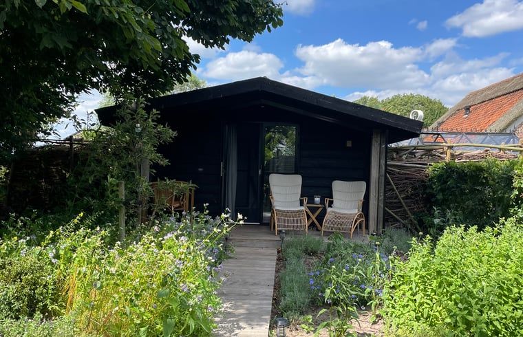 Geniessen Sie die Ruhe der Natur im Ferienhaus in Scherpenzeel, Gelderland, mit einer schoenen Terrasse in der Veluwe.