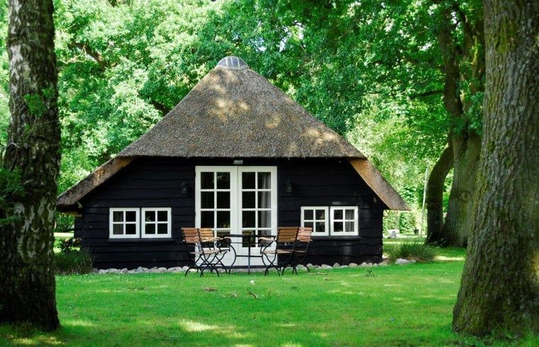 Gemuetliches Ferienhaus in Vierhouten in der Veluwe, umgeben von gruener Natur in Gelderland, ideal fuer einen entspannten Aufenthalt.