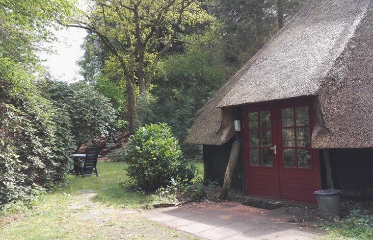 Unterkunft 322918 - Ferienhaus Veluwe - Vakantiehuis in Vierhouten