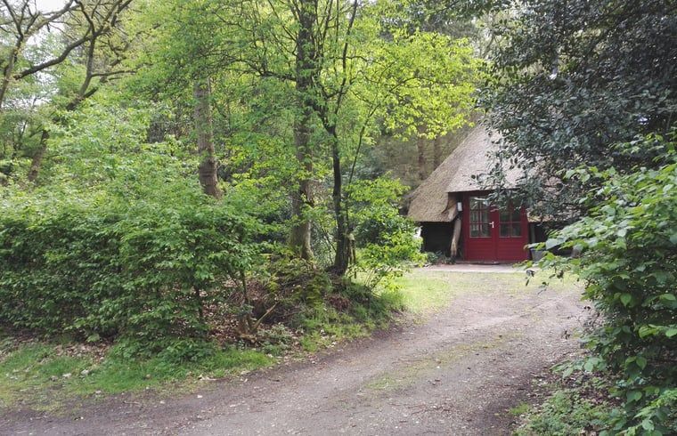 Unterkunft 322918 - Ferienhaus Veluwe - Vakantiehuis in Vierhouten
