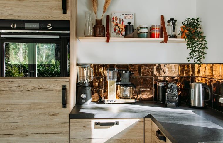 Modern kitchen in Holiday home in Nunspeet, Veluwe, with luxury appliances and wooden finish.