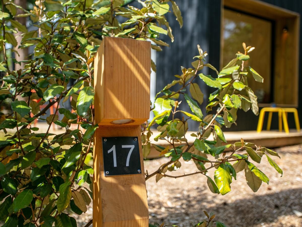 Unterkunft 3230121 - Ferienhaus Veluwe - TED Tiny House