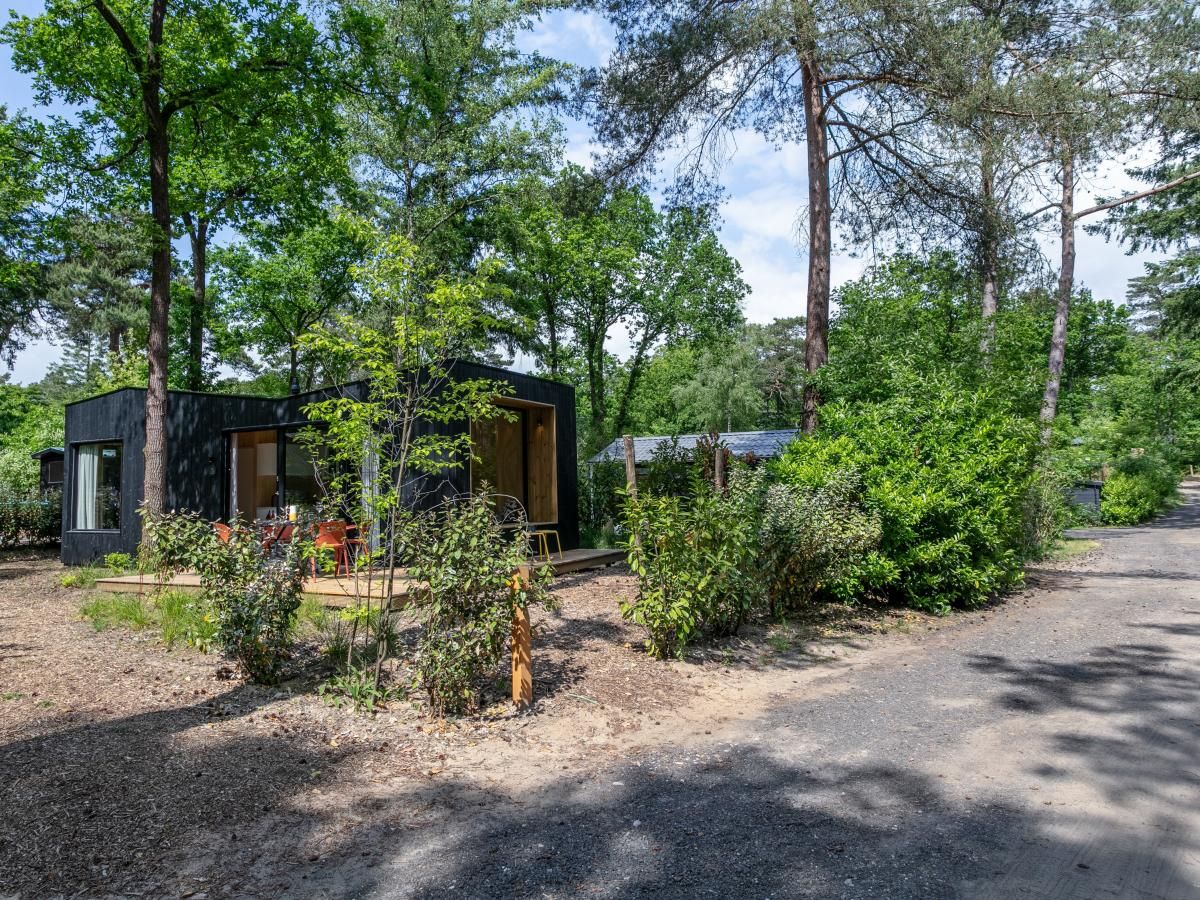 Unterkunft 3230121 - Ferienhaus Veluwe - TED Tiny House