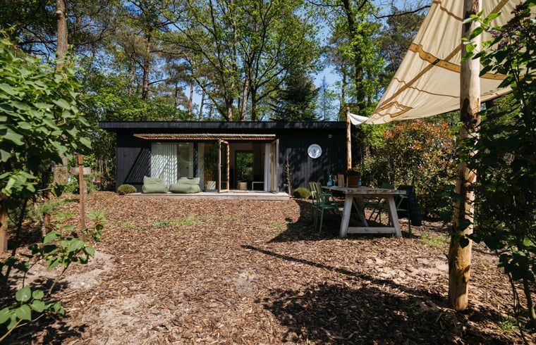 Ferienhaus in Nunspeet, Veluwe mit Terrasse und Garten in Gelderland.