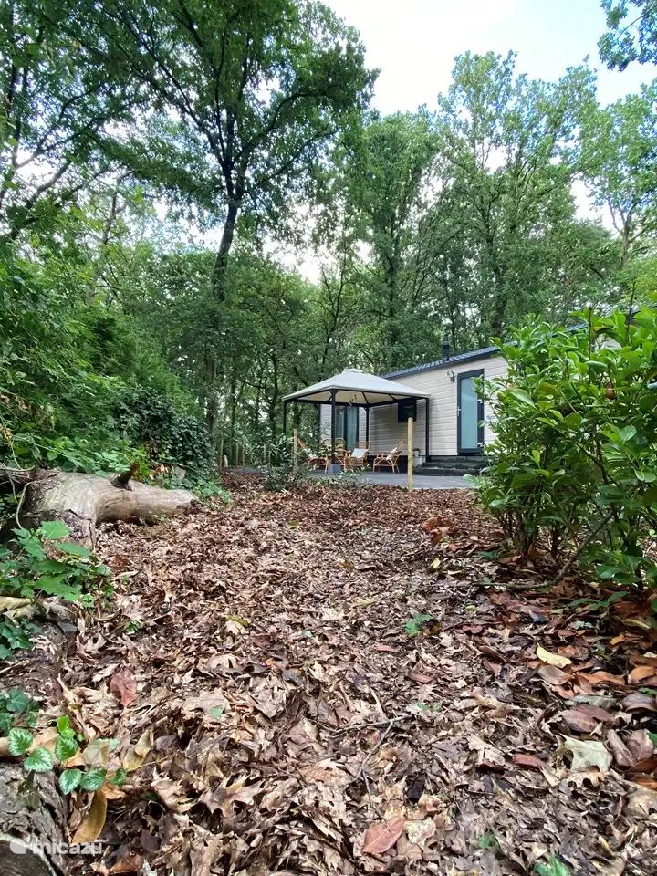 Verblijf 3230143 - Vakantiewoning Veluwe - Boshuisje Nunspeet 52
