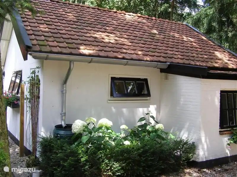 Verblijf 3230144 - Vakantiewoning Veluwe - De Witte Steen