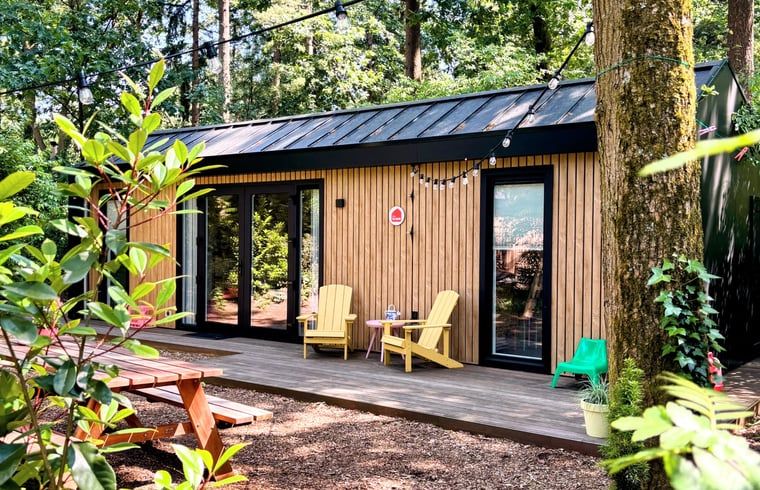 Unterkunft 3230149 - Ferienhaus Veluwe - Vakantiehuis in Nunspeet