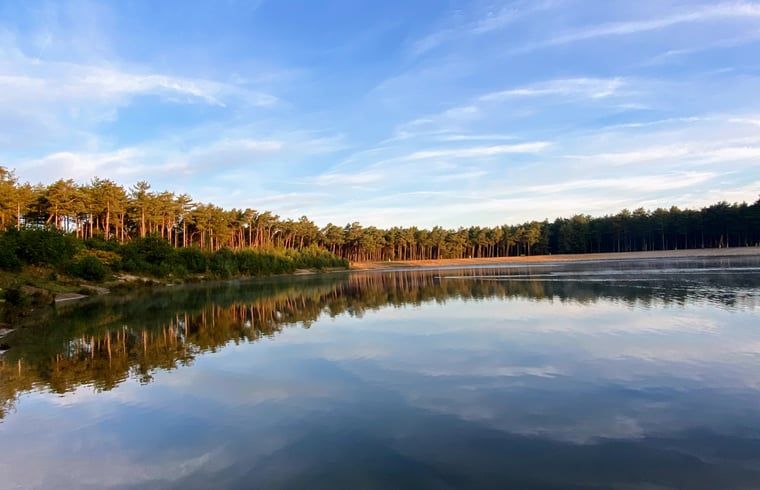 Unterkunft 3230149 - Ferienhaus Veluwe - Vakantiehuis in Nunspeet