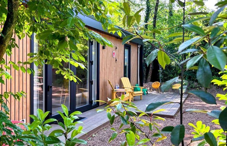 Unterkunft 3230149 - Ferienhaus Veluwe - Vakantiehuis in Nunspeet