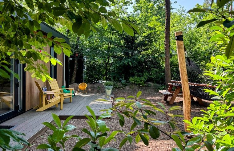 Unterkunft 3230149 - Ferienhaus Veluwe - Vakantiehuis in Nunspeet