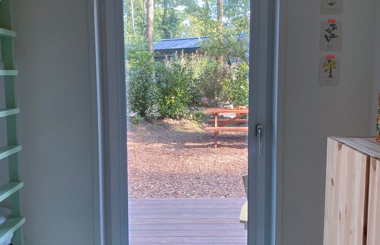 Unterkunft 3230149 - Ferienhaus Veluwe - Vakantiehuis in Nunspeet