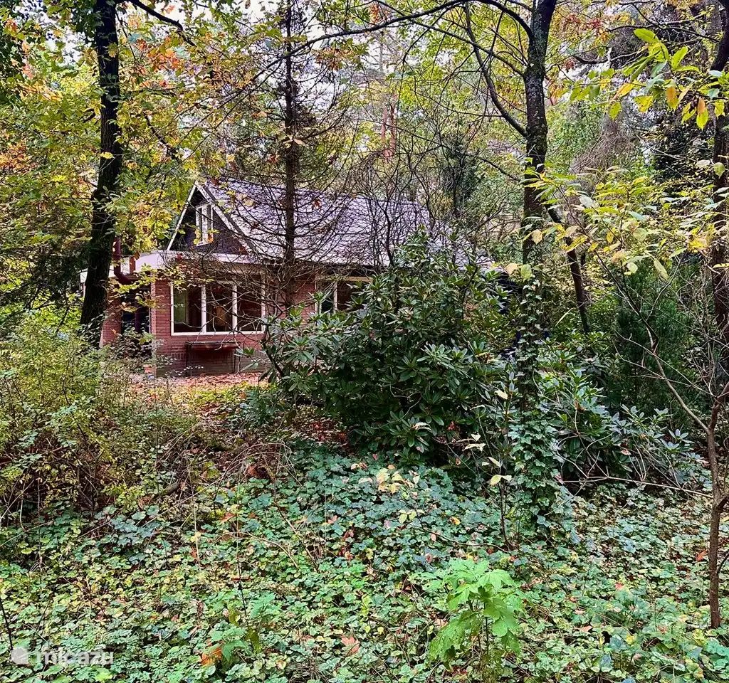 Guest house 3230153 - Holiday property Veluwe - Boshuisje Nunspeet B40