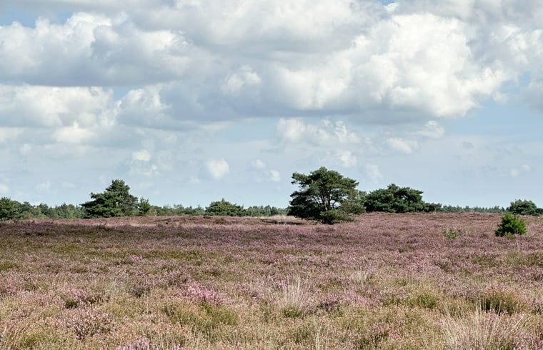 Modern living room in Cottage in Nunspeet, Veluwe, Gelderland with a cozy fireplace and stylish furnishings.