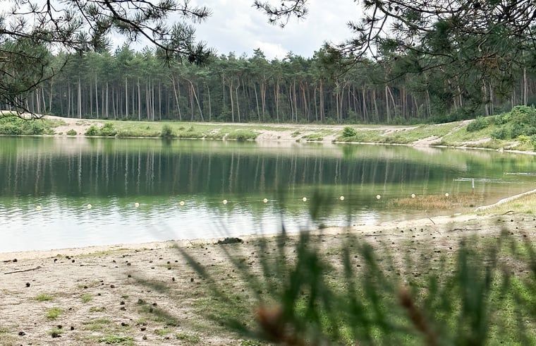 Comfortable hammock with pillows at Cottage in Nunspeet, Veluwe, Gelderland, perfect for an afternoon nap.