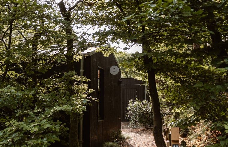 Unterkunft 323025 - Ferienhaus Veluwe - Vakantiehuis in Nunspeet