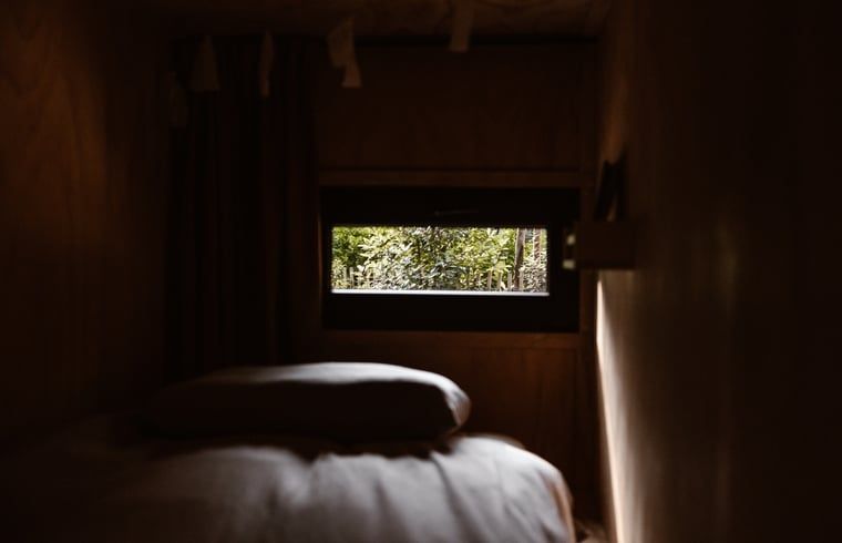 Unterkunft 323025 - Ferienhaus Veluwe - Vakantiehuis in Nunspeet