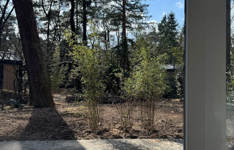 Unterkunft 323064 - Ferienhaus Veluwe - Vakantiehuis in Nunspeet