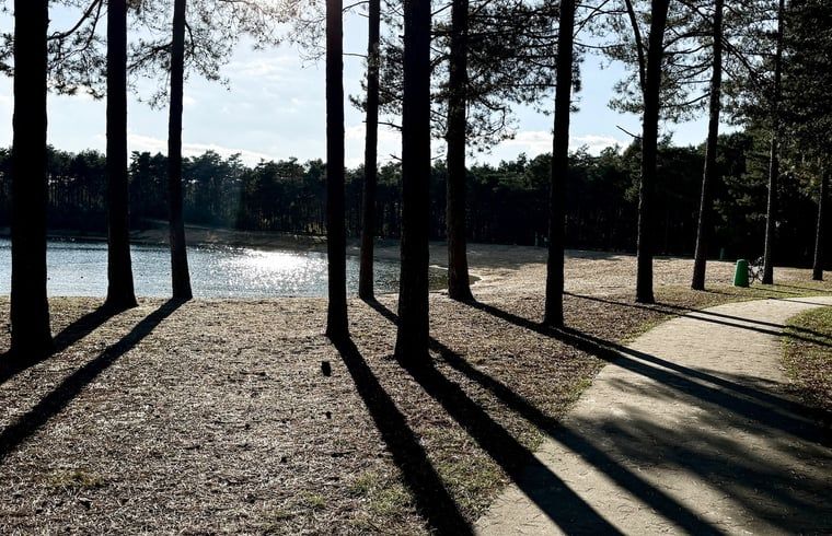 Unterkunft 323064 - Ferienhaus Veluwe - Vakantiehuis in Nunspeet