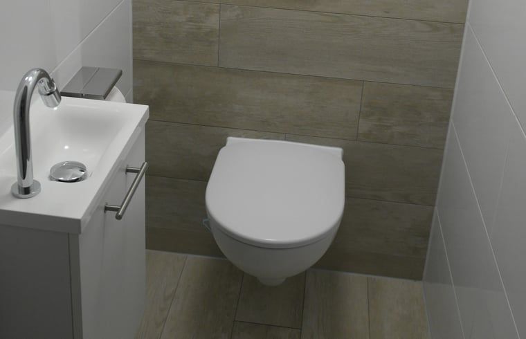 Stylish toilet in Holiday home in Nunspeet, Veluwe, with modern plumbing in Gelderland.