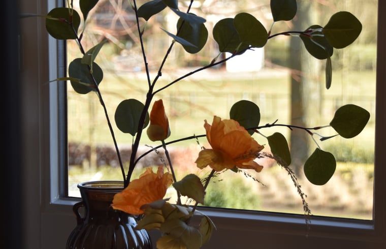 Blumenvase am Fenster im Ferienhaus in Lunteren, Veluwe, Gelderland.
