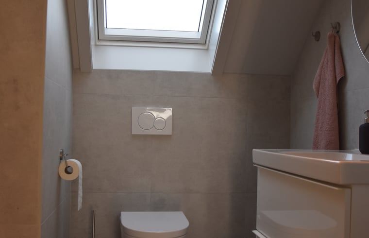 Badezimmer mit Dachfenster in Ferienhaus in Lunteren, Veluwe, Gelderland.
