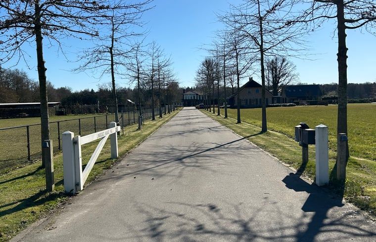 Zufahrtsstrasse zum Ferienhaus in Lunteren, Veluwe, Gelderland.
