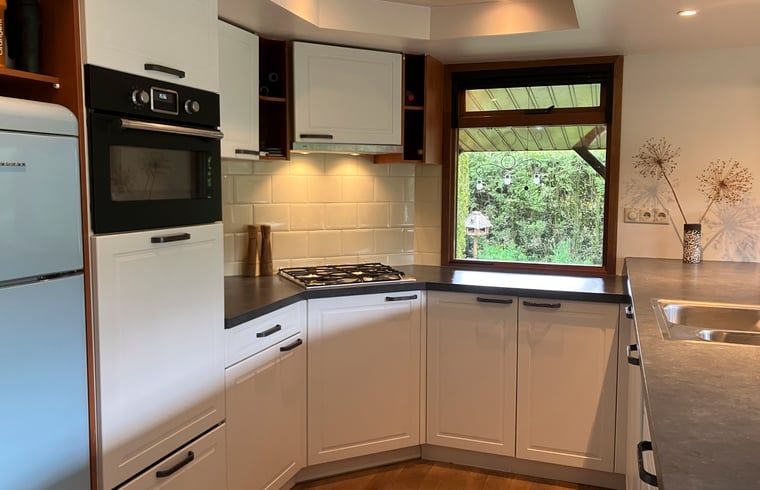 Kitchenette in Cottage in Lunteren, Veluwe, with modern appliances and views of nature.