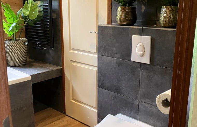 Toilet in Cottage in Lunteren, Veluwe, with modern finishes and stylish details.