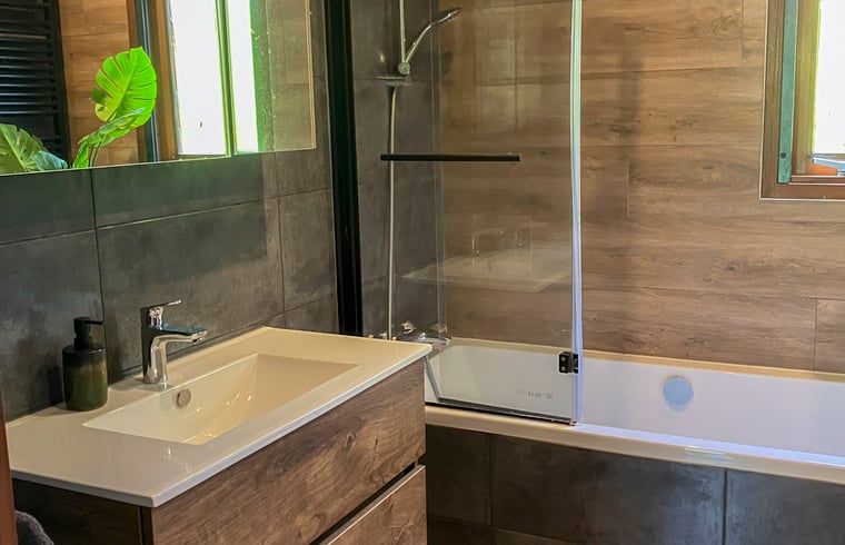 Bathroom in Cottage in Lunteren, Veluwe, with modern sink and shower.