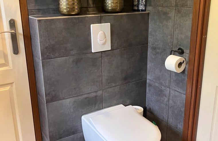 Stylish toilet in Cottage in Lunteren, vacation home in the Veluwe.
