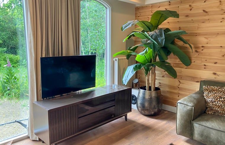 Living room in Cottage in Lunteren, Veluwe, with television and large windows to the garden.