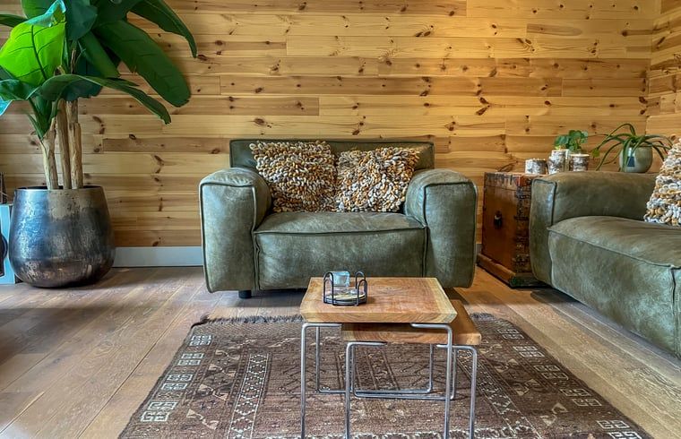 Cozy sitting area in Cottage in Lunteren, Veluwe, with comfortable sofas and plants.