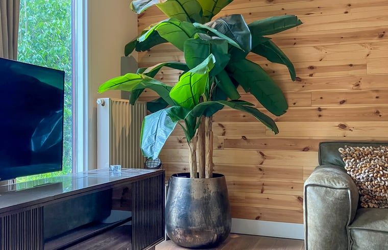 Stylish decoration in Cottage in Lunteren, Veluwe, with large plant and wooden walls.