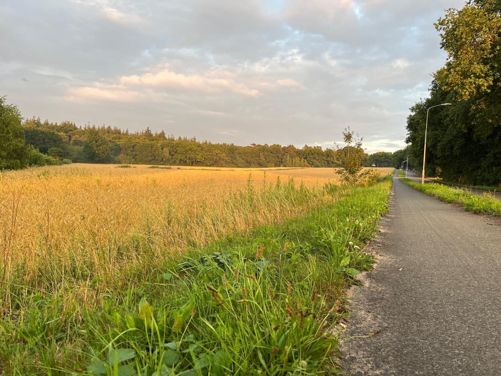 Unterkunft 323176 - Ferienhaus Veluwe - DG2032