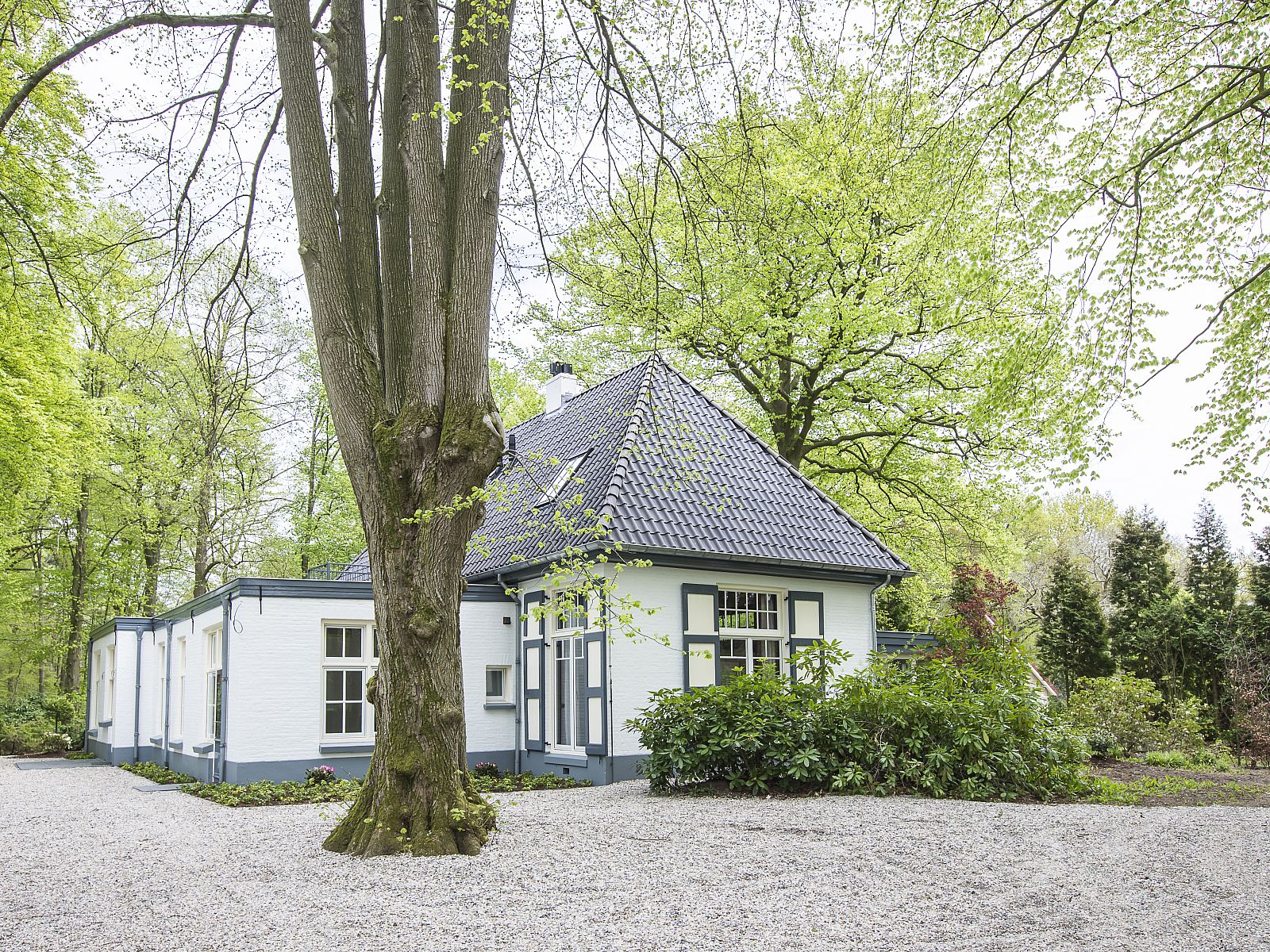 Unterkunft 323207 - Bungalow Veluwe - Landgoed 't Loo | 12-persoons landhuis | 12EL