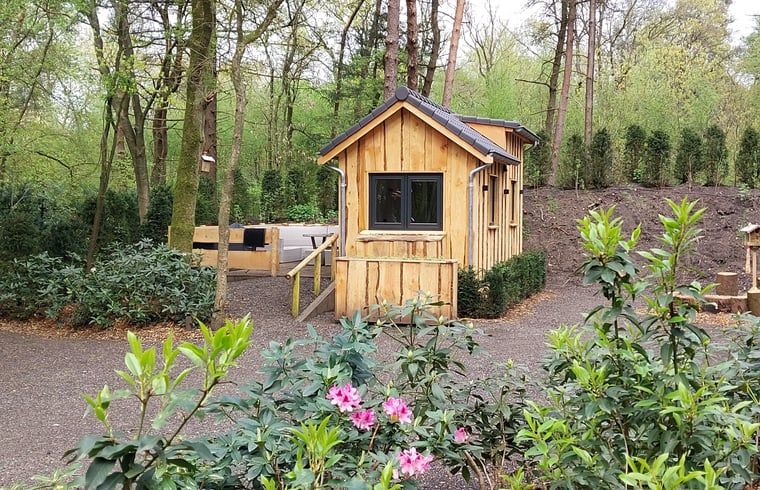 Gezellig vakantiehuisje in Uddel, Veluwe, omringd door groene natuur voor een ontspannen verblijf.