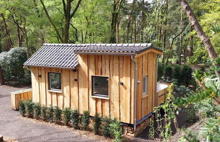 Vakantiehuisje in Uddel, Veluwe, biedt een serene ontsnapping te midden van weelderige bossen.