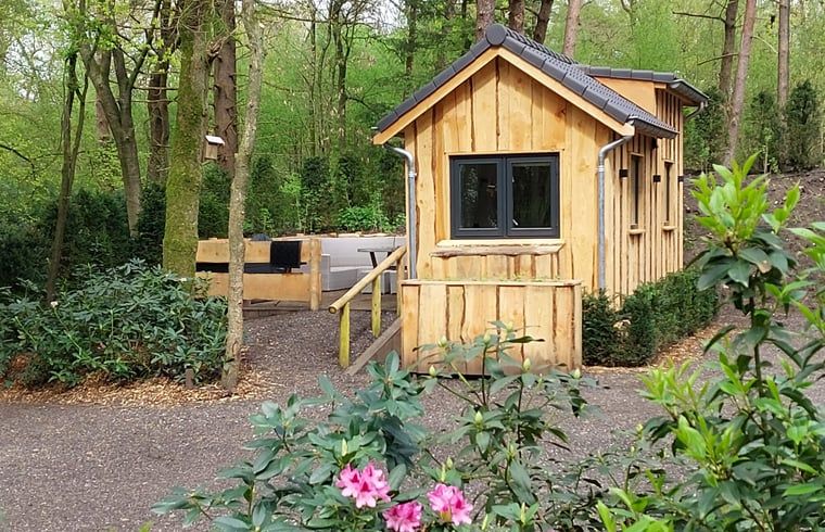 Vakantiehuisje in Uddel, Veluwe, met een uitnodigende buitenruimte om te ontspannen in de natuur.