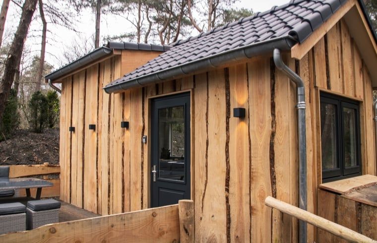 Vakantiehuisje in Uddel, Veluwe, biedt een knusse binnenruimte met natuurlijke lichtinval.