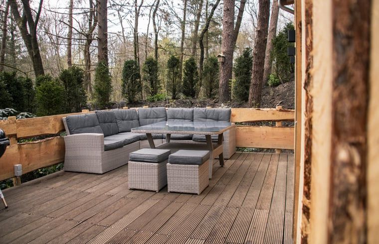 Stijlvol vakantiehuisje in Uddel, Veluwe, met een ruime woonkamer en uitzicht op het bos.